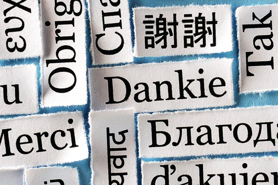 Balans in Afrikaans