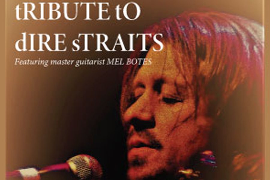 Tribute to Dire Straits
