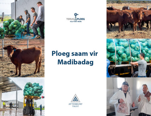 Ploeg saam vir Madibadag