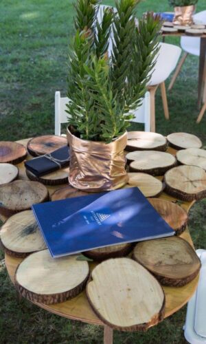 506404720_3469221486546847_4412846750449632094_n