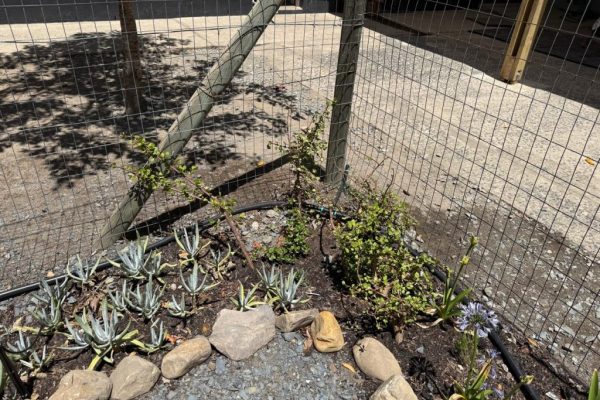 Akkerland 2 Akkerland 2